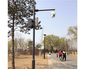 图木舒克路灯监控杆-LB-03